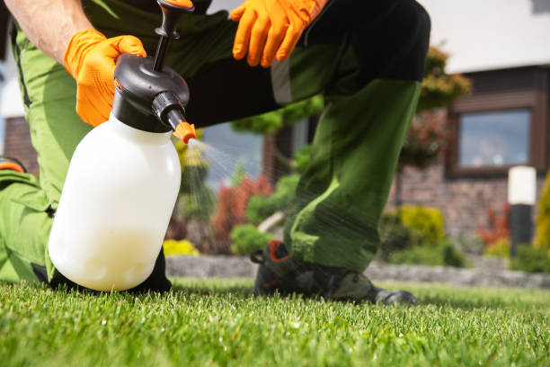 Best Pest Removal Services  in Beverly Hills, TX