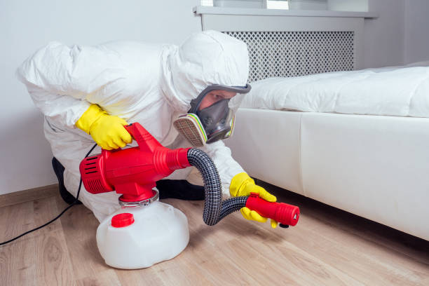 Best Pest Control Near Me  in Beverly Hills, TX