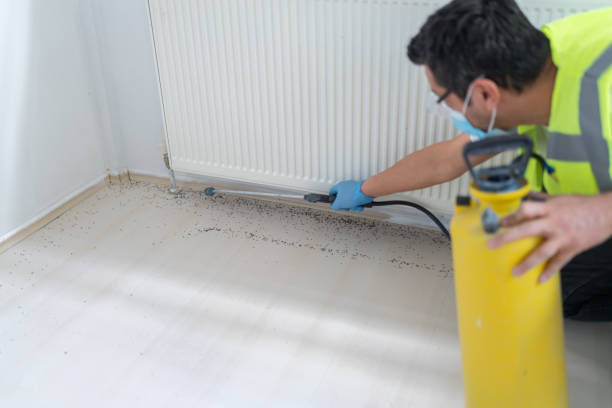 Best Pest Control for Homes  in Beverly Hills, TX